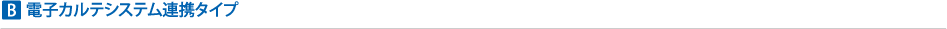 B 電子カルテシステム連携タイプ